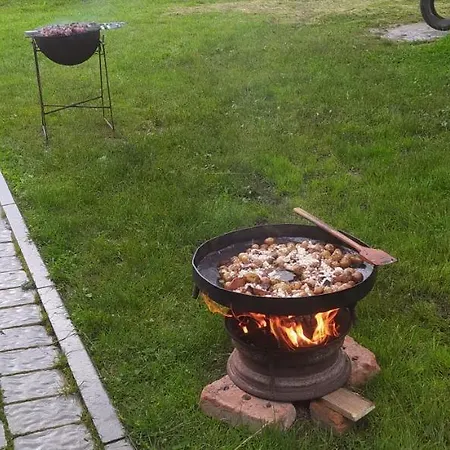 Сasa de vacaciones Fetal Hut - плідна хата