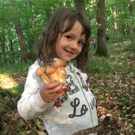 Hébergement de vacances Fetal Hut - плідна хата